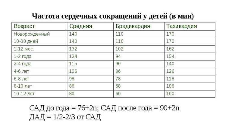 Практические рекомендации по контролю сердечных и дыхательных показателей в домашних условиях