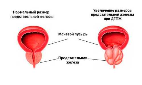 Основные