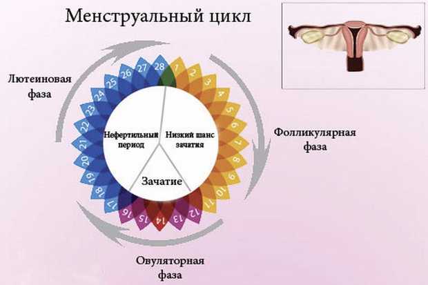 Причины появления кровянистых выделений на ранних сроках гестации