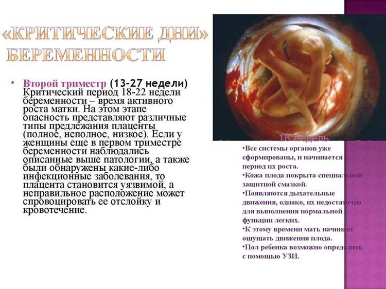 Опасность 4-6 недель: угрозы замершей беременности и методы ранней диагностики