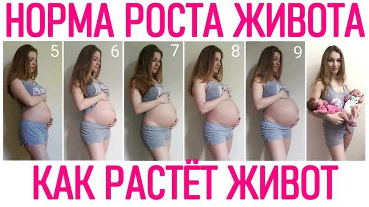 Как определить реальные размеры при многоплодной беременности