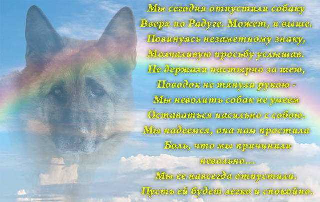 Верования