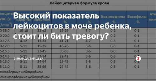 Продукты,