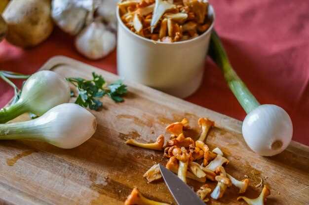 Подготовка ингредиентов и выбор сухих грибов для насыщенного вкуса