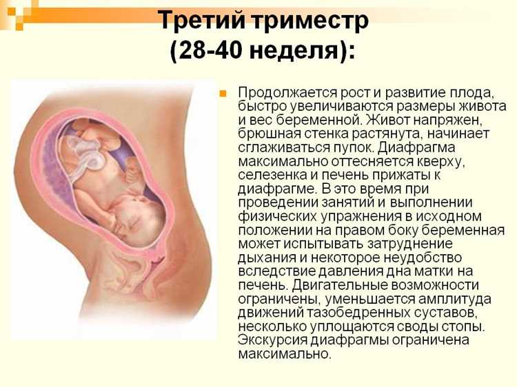 Риски и возможные осложнения при положении на животе в ранний срок гестации