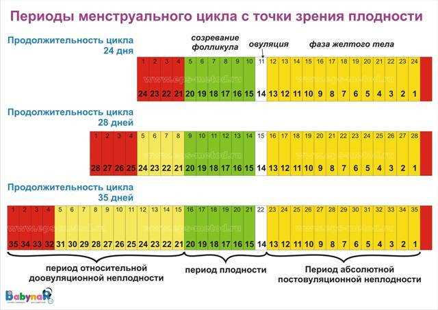 Практические рекомендации по планированию беременности после овуляции