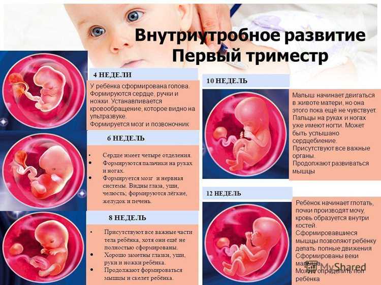 Почему движения ощущаются раньше при повторной беременности