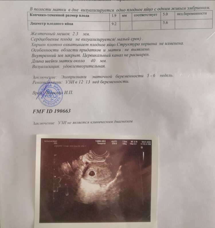Советы для будущих родителей перед посещением исследования
