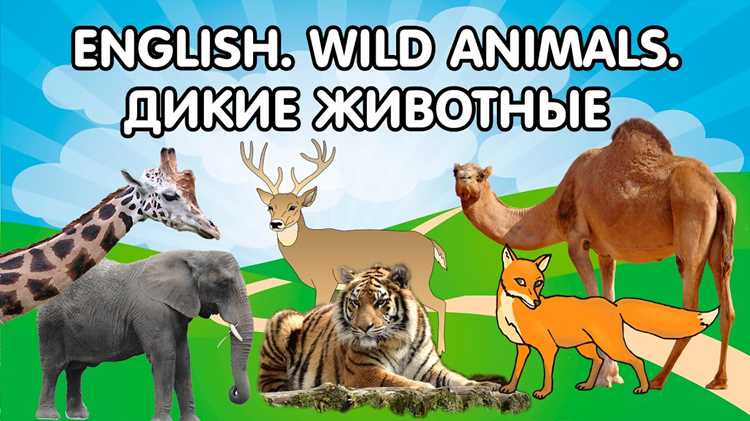 Роль музыкальных анимационных программ в улучшении восприятия языка у малышей