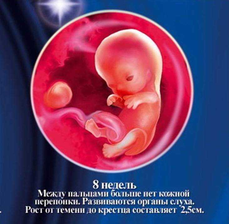 Советы по улучшению сна и снижению дискомфорта в начале восьмого месяца