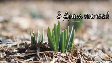 Оригинальные способы поздравления