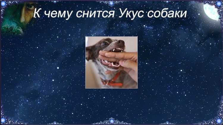 Практические советы после сна с укусом: как реагировать в реальной жизни