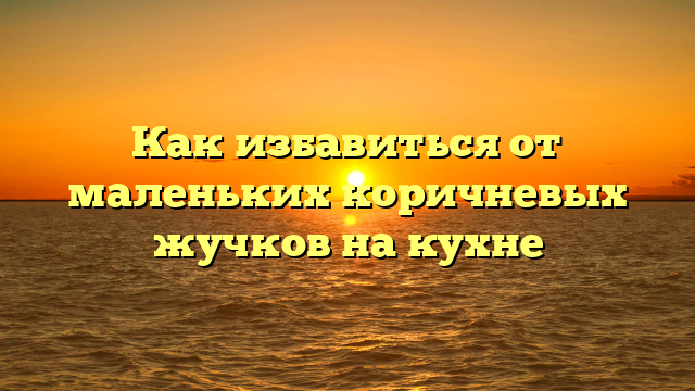 Как избавиться от маленьких коричневых жучков на кухне